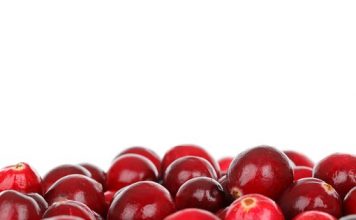 mirtillo rosso e benefici per il corpo