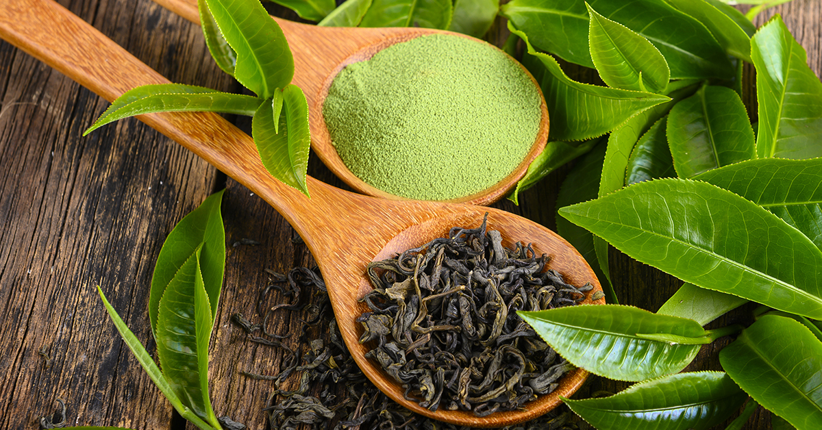 Il tè verde e le sue eccezionali proprietà cosmetiche - Farmacia