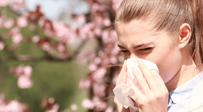 Allergie primaverili: come proteggersi e ritrovare il benessere ogni giorno